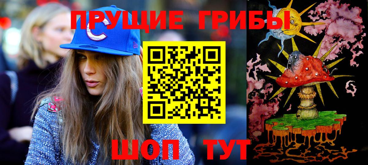 купить наркотик  Вход с VPN  Псилоцибиновые грибы Magic Shrooms  Балтийск  Галлюциногенные грибы GOLDEN TEACHER 