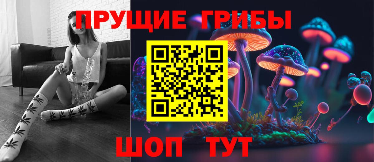 Галлюциногенные грибы Psilocybine cubensis Балтийск